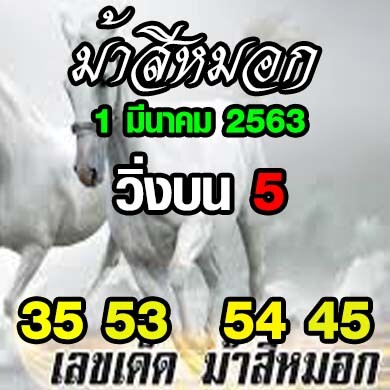 ม้าสีหมอก 1 มีนาคม