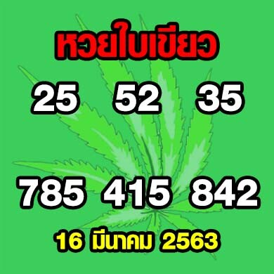 หวยใบเขียว 16 มีนาคม 2563